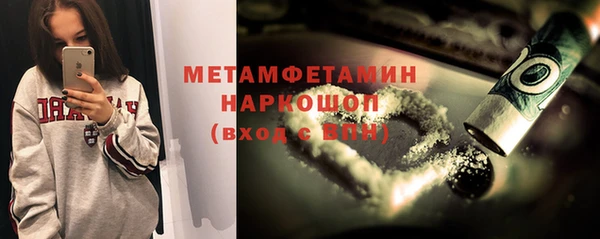 индика Алексин