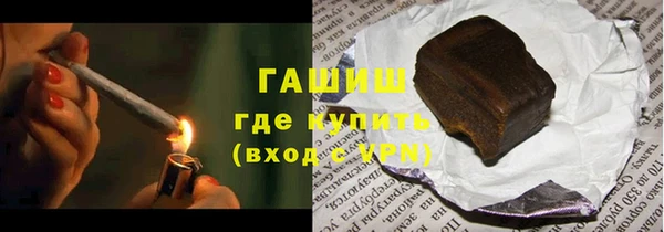 индика Алексин