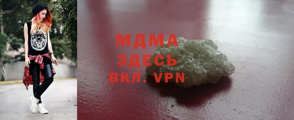 индика Алексин