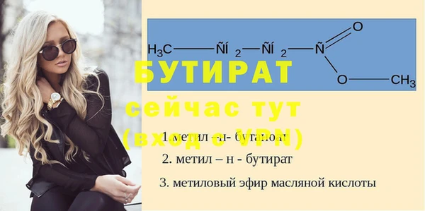 индика Алексин