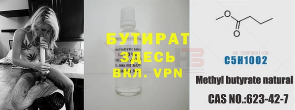 индика Алексин