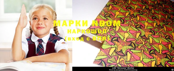 индика Алексин