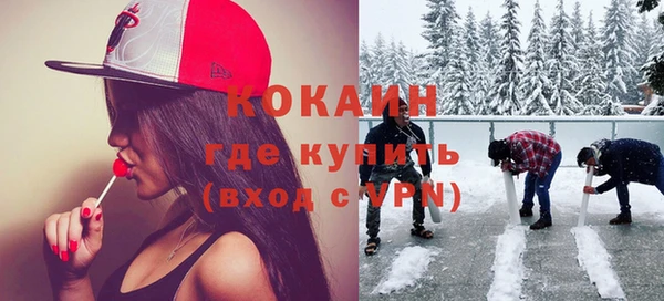 индика Алексин