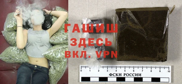 индика Алексин