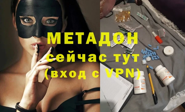 индика Алексин