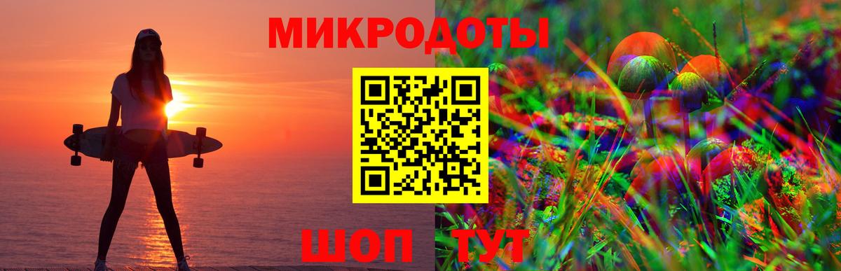 Псилоцибиновые грибы Psilocybe Южно-Сахалинск